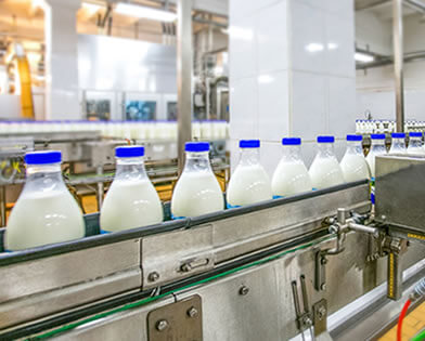 Dairy Plant Floor