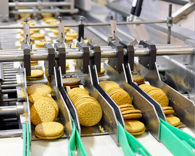 Food & Beverage Plant